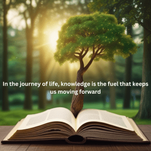 Quotes on Lifelong Learning: Never Stop Growing